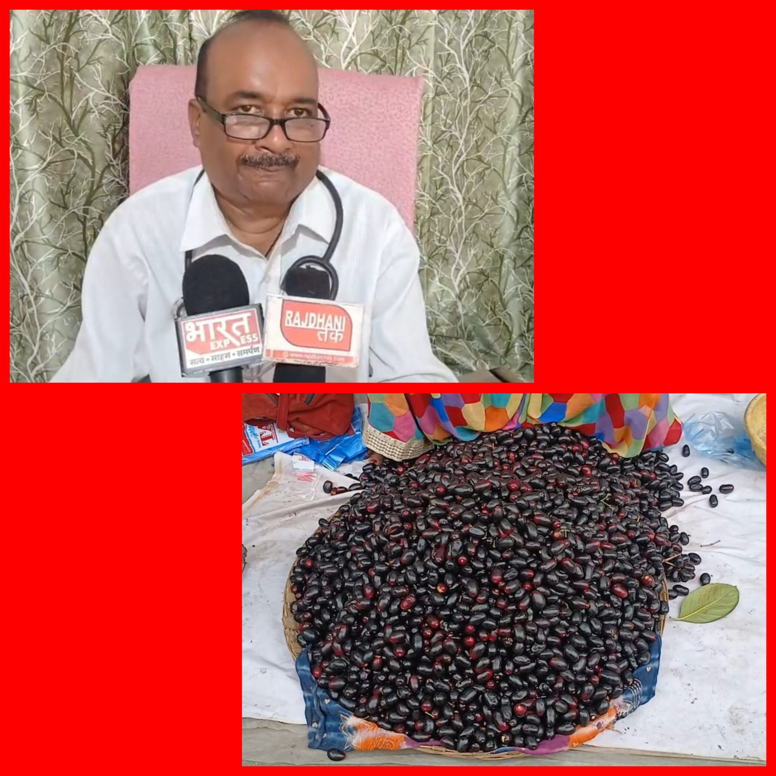 जामुन के फायदे कि जानकारी दिया डॉ. प्रदीप देवांगन ने….